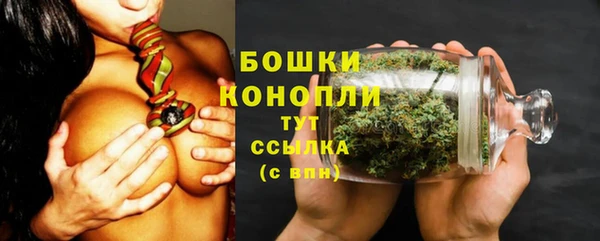 прущие грибы Осташков
