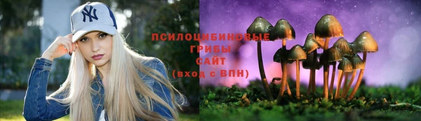 эйфоретик Алексин