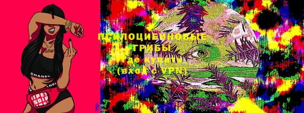 эйфоретик Алексин