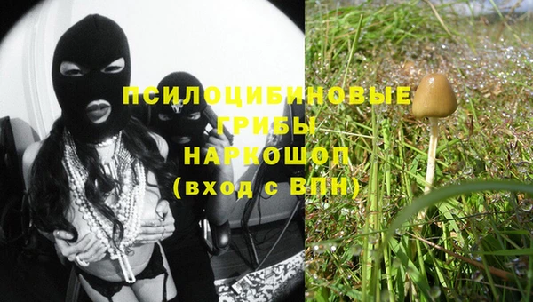 гашик Алексеевка