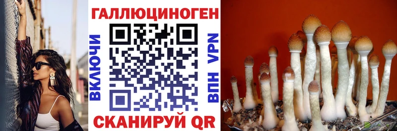 Галлюциногенные грибы ЛСД  маркетплейс клад  Солигалич  гидра как войти 
